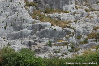 ntana Paradiso-15-05-2014 17-44-22